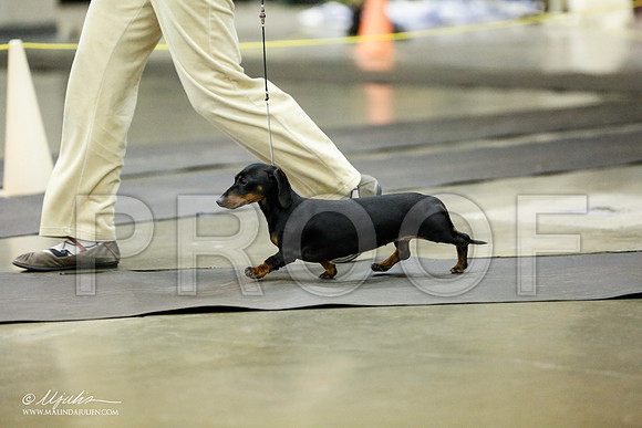 _RH_1359-BeltonJan2015IABCA-HR3