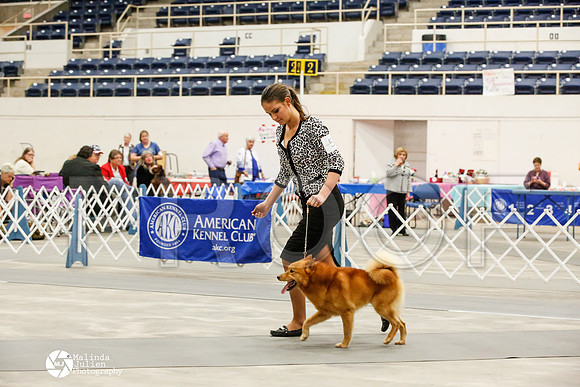 _JJ_0367-AblnMay2014-web