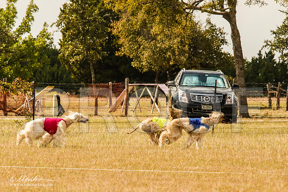 _MJ_5605-AfgBeltonOct2014-HR3