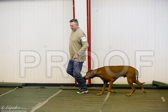 _MJ_4577-DentonMar2015-HR3