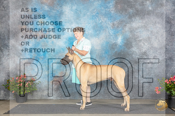 Great Dane # Fri r __JP_4713_San Antonio_2024_HR3