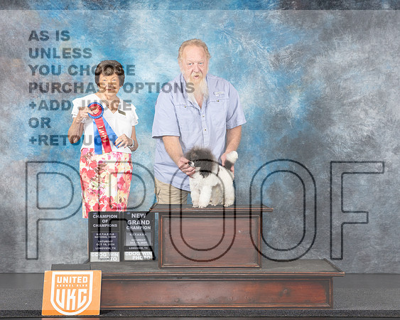 Poodle MC #269 Sat COC Judge Nancy Gallant-_JP_1280e_UKCLngvwOct_2024-HR3