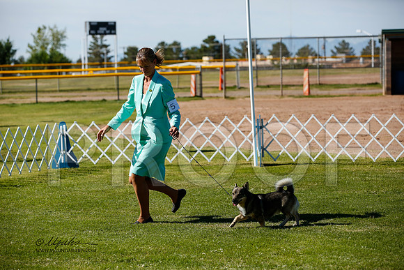 _JJ_2562-AlamogordoOct2014-HR3