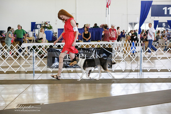_CK_9518-DallasJul2014-HR3