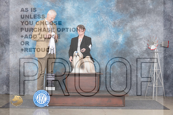 Shih Tzu #5 Thurs G4 Judge Jon Cole__JP_4919_Amarillo_2024_HR3