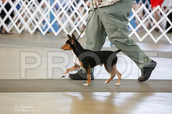 _JJ_7674-DallasJul2014-HR3