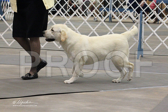 Lab-3819LR