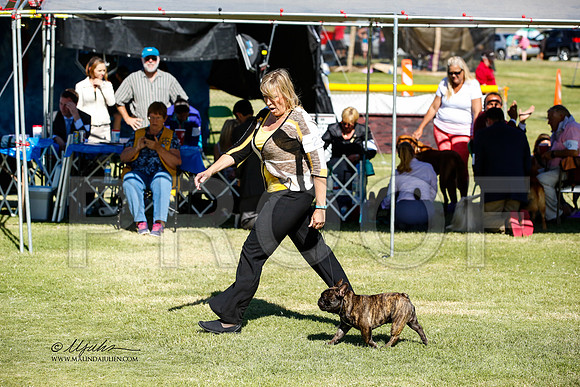 _JN_1466-AlamogordoOct2014-HR3