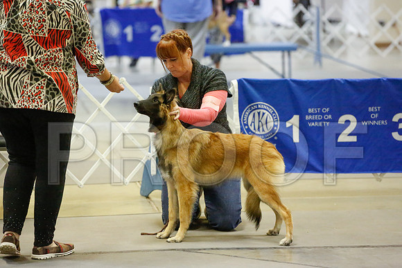 _JN_8935-AmarilloSept2014-HR3
