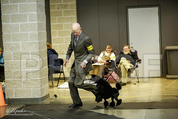 _JJ_5880-BeltonJan2015IABCA-HR3