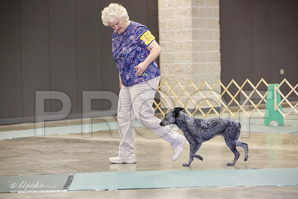 _JN_2577-BeltonJan2015-HR3