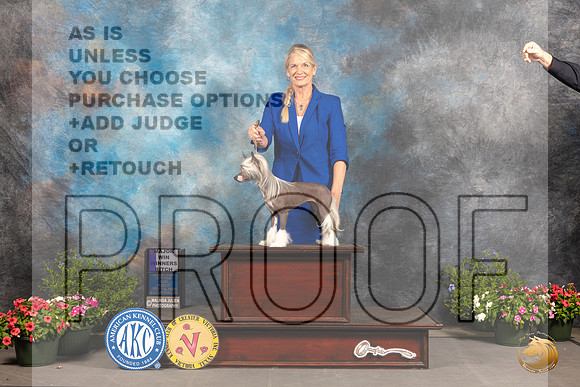 Chinese Crested #22 Fri WBM Judge George Milutinovich_MJ_0013_SA_2022_HR3