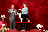 Australian Shepherd Sun S1 RBIMBS Kimberly Cecil Judge Stan Matsumoto