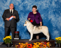 Siberian Huskies #5 Sat Hudspeth Sandra Judge Mr Douglas R Holloway Jr