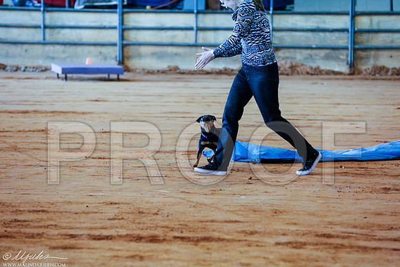 _RH_9639-MarshDec2014-HR