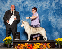 Siberian Huskies #14 Sat G4 Bailey Kevin E Laurie Judge Mr Douglass R Holloway Jr