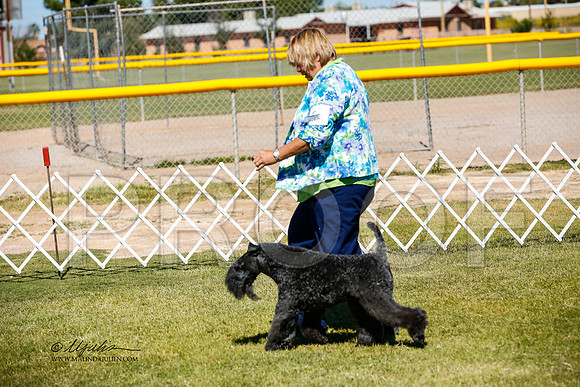 _JJ_3350-AlamogordoOct2014-HR3