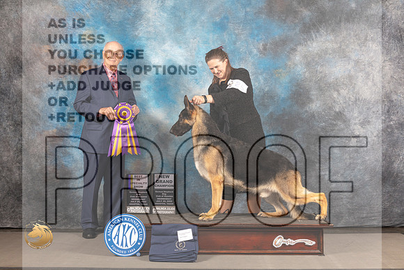 German Shepherd Dog #25 WED BISS Judge Stephen Bloom_MJ_2466_Houston_2022_HR3