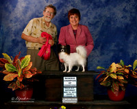 Papillon Sat S2 Jill VanDovpe Norman Nov 2013