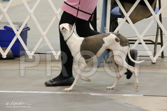 IMG_7617-Abilene2011-HR3