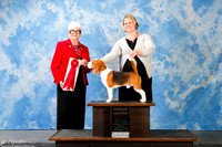 Beagle #5 Sun G2