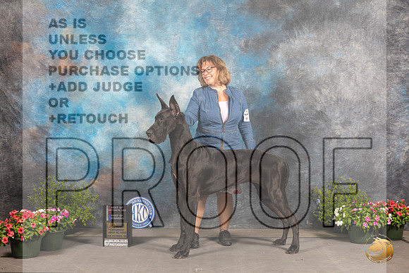 Great Dane #12 Sat BOWBOS Judge Jan Paulk_MJ_0235_SA_2022_HR3