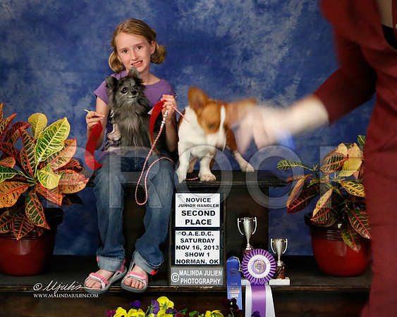 CorgiCW-8566-NormNov2013-HR