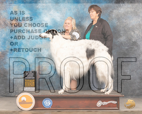 Borzoi #21 Sat BOB? Judge Del RichardsMMJ_4209_Mdlnd2022_HR3