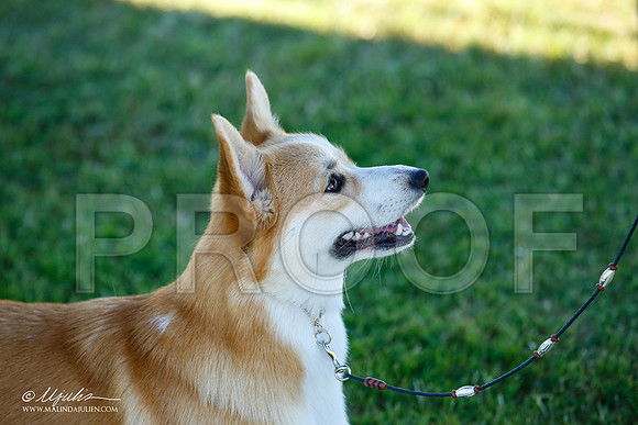 _JN_4516-AlamogordoOct2014-HR3