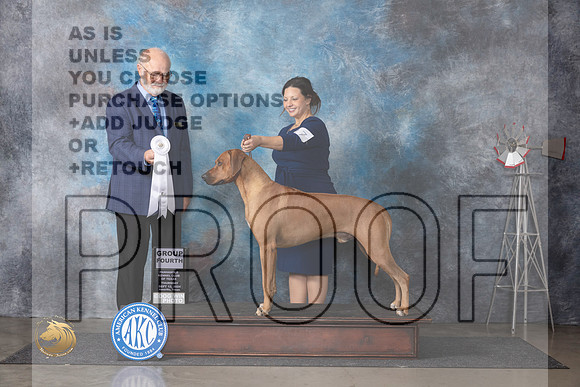 Rhodesian Ridgeback #17 Thurs G4BOBOHBOB Judge Gary Andersen__JP_4939_Amarillo_2024_HR3