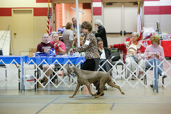 _JJ_4541-AmarilloSept2014-HR3