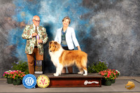 Collie Rough #14 Thur BOVNCh Judge Michael Canalizo