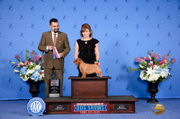 Jacqueline Doval Houston 2024
