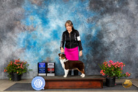 Miniature American Shepherd #16 Fri WBBOWBOSCH Judge Paul F Willhauck