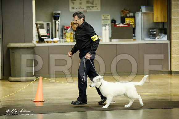 _JJ_6160-BeltonJan2015IABCA-HR3
