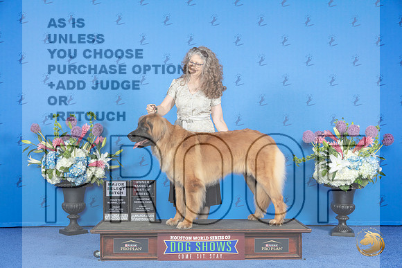 Leonberger #16 FRI SB OHBOB M Judge Douglas Johnson__JP_8788_Houston_2024_HR3