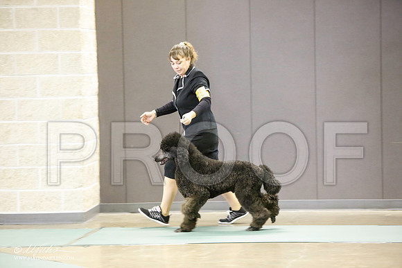 _LH_3120-BeltonJan2015-HR3