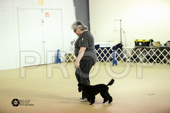 poodM-9819-HtoJan2014-HR3