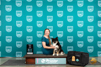 Icelandic Sheepdog #381 Fri RHIT Judge Terri Rein