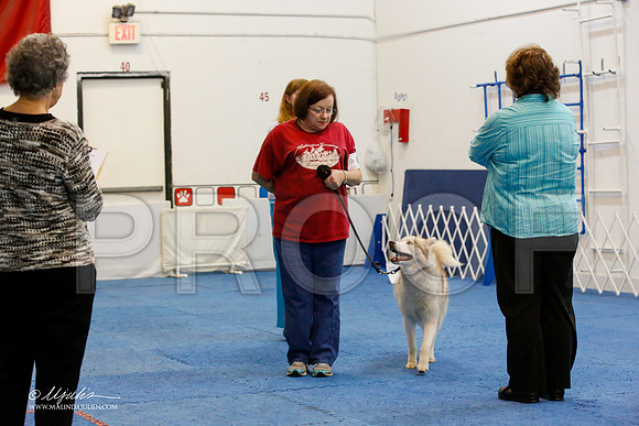 _M3_8091-AddisonHuskyMar2015-HR3