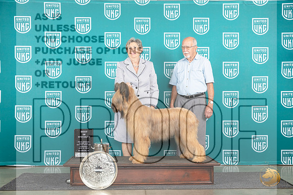 Briard #860 Wed BISS Judge Jennifer Landers__JP_1527_Premier_2024_HR3