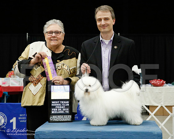 _CL_6019-BeltonJan2015IABCA-HR3
