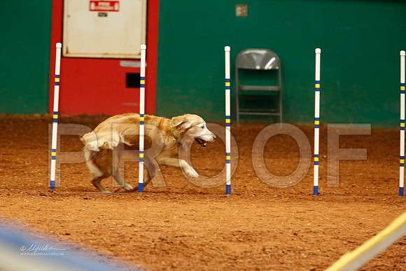 _J8_5560-WFOct2013-HR