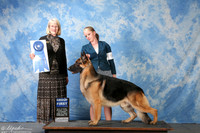 German Shepherd Dog #9 Sat G1 Schumacher John & Anita Agent Alfonso Escobedo Judge Mrs Nancy Simmons