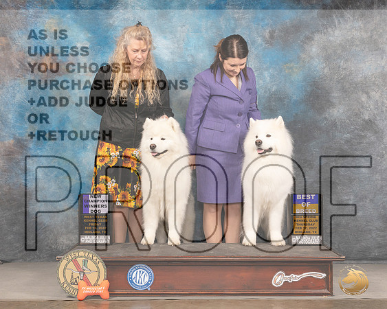 Samoyed #7 BOB #17 Fri WD Judge Del RichardsMMJ_3094_Mdlnd2022_HR3