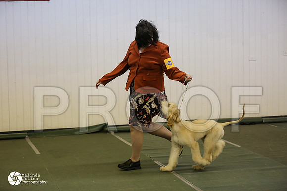 pup-8915-DntnMar14-HR3
