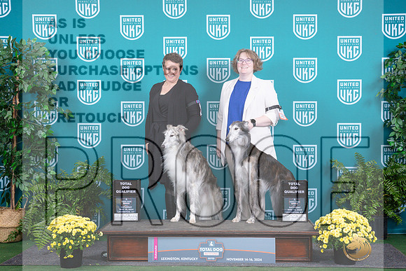Silken Windhound #111 #115 Sat TD no judge__JP_2766_UKCTDI2024_HR3