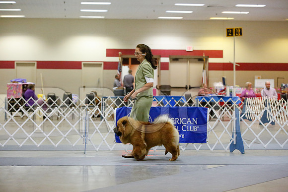 _JN_8107-AmarilloSept2014-HR3