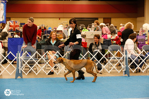 RHOD-0602-FWMar14-HR