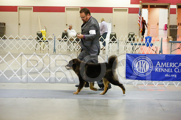 _JJ_9734-AmarilloSept2014-HR3
